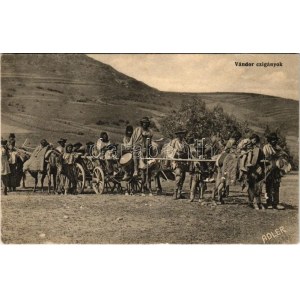 Erdély, Transylvanie ; Vándor cigányok. Adler fényirda Szászváros 1909. / groupe tsigane (fl)