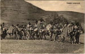 Erdély, Transylwania; Vándor cigányok. Adler fényirda Szászváros 1909. / grupa cygańska (fl)