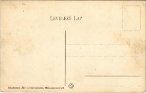 1909 Aknasugatag, Ocna Sugatag; Bányatelep látképe. Kaufmann Ábr. és fiai kiadása / mine colony (EK...