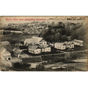 1908 Alváca, Vata de Jos; Kénes gyógyfürdő / uzdrowisko siarkowe (EK)
