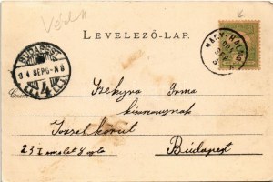 1904 Alváca, Vata de Jos; Kénes gyógyfürdő madártávlatból, vasúti híd. Deutsch fényképész fölvétele / Schwefelbad...