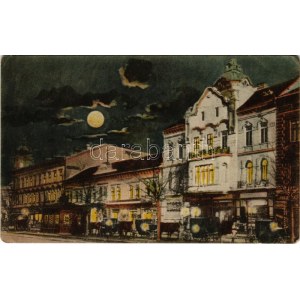 Arad, Lloyd épület este, Pannónia szálloda, Purjes üzlete / Palast bei Nacht, Hotel, Geschäfte (EK)