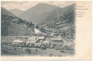 Batiza, Botiza (Máramaros); A fűrészgyár látképe, fűrésztelep, fatelep. Kiadja Mayer és Berger 111. / tartak...