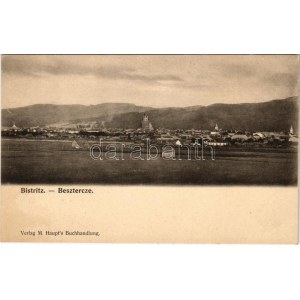 Beszterce, Bistritz, Bistrita; látkép. M. Haupt kiadása / general view (fl)