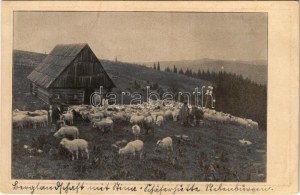 Biharfüred, Stana de Vale, Stina de Vale; Gebirgslandschaft mit Stina (Schäferhütte) Aus Siebenbürgen ...