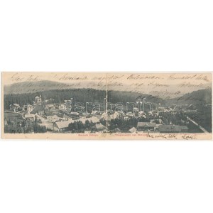1903 Borszék, Borsec ; 2-részes kihajtható panorámalap. Soós kiadása / Panorama pliant à 2 carreaux (fa...