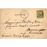 1903 Buziás, Meleg acélfürdő / Warmes Stahlbad / spa