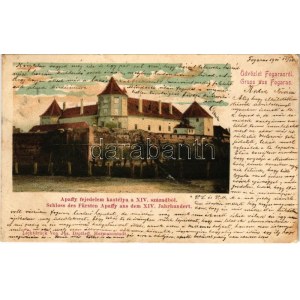 1901 Fogaras, Fagaras; Apaffy (Apafi) fejedelem kastélya a XIV. századból, vár / Schloss des Fürsten Apaffy aus dem XIV...