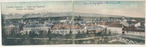 1911 Fogaras, Fagaras; látkép. 2-részes kihajtható panorámalap / general view. 2-desková skládací panoramatická karta (r...