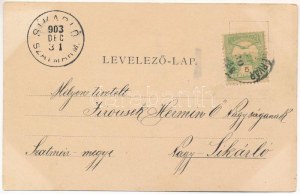 1903 Gyulafehérvár, Karlsburg, Alba Iulia; Officiers-Pavillon / Tiszti pavilon. Schäser Ferenc kiadása / Oficerowie...