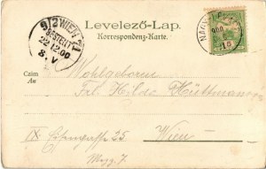 1900 Herkulesfürdő, Baile Herculane; Kunstanstalt Kosmos 140. litografie s: (EK)