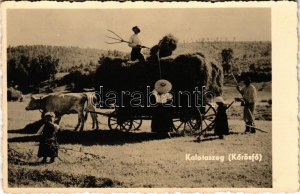 Körösfő, Izvoru Crisului (Kalotaszeg, Tara Calatei); szénás szekér / folklore, hay cart