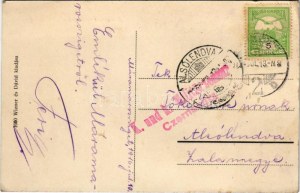 1916 Máramarossziget, Sighetu Marmatiei ; Petőfi liget. Wizner és Dávid kiadása / park (EK)