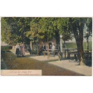 1909 Nagyszeben, Hermannstadt, Sibiu; Új Világ vendéglő kerthelyisége / Gruss aus der Neuen Welt ...