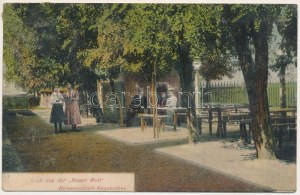 1909 Nagyszeben, Hermannstadt, Sibiu ; Új Világ vendéglő kerthelyisége / Gruss aus der Neuen Welt ...