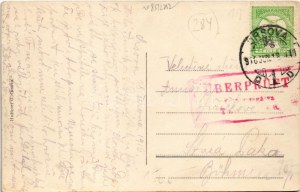 1916 Orsova, Parco Freyler, Nasse Ede üzlete. Hutterer G. kiadása / parco, negozio (EB)