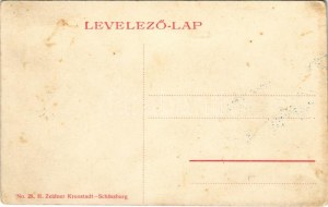 Segesvár, Schässburg, Sighisoara ; utca. H. Zeidner kiadása / vue de la rue (EK)