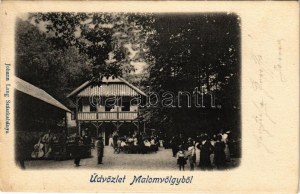 1905 Szászkabánya, Németszászka, Sasca Montana; Malomvölgy, vendéglő, nyaraló. Johann Lang kiadása / Mühlthal / valley...