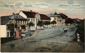 1915 Szászrégen, Reghin; Közép utca. Erich Fabritius & Comp. kiadása / Mittelgasse / street view (EK...