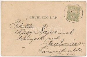 1903 Szatmárhegy, Viile Satu Mare ; Városi nagy vendéglő, Nagy Lippa része (Nagylippa). Lövy M. tulajdona / restaurant ...