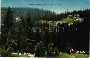 1916 Szebenjuharos, Hohe Rinne, Paltinis ; Kurhaus Hohe Rinne 1403 m.