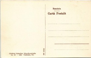 Temesvár, Temešvár; Iosefin, Splaiul Beghei / Józsefváros, Béga csatorna. Galambos 1925. Nr. 16. ...