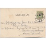 1901 Temesvár, Timisoara; Gyárvárosi részletek, lovas hintó. Polatsek-féle kiadása / Platz in Stoff, Pferdewagen...