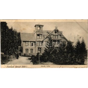 1903 Tusnádfürdő, Baile Tusnad ; villa Bánffy (vágott / coupe)