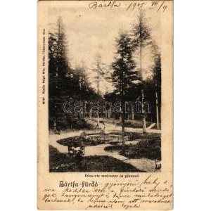 1905 Bártfa-fürdő, Bardejovské Kúpele, Bardiov, Bardejov; Édes-víz medence és pihenő. Salgó Mór kiadása / spa park (EK...