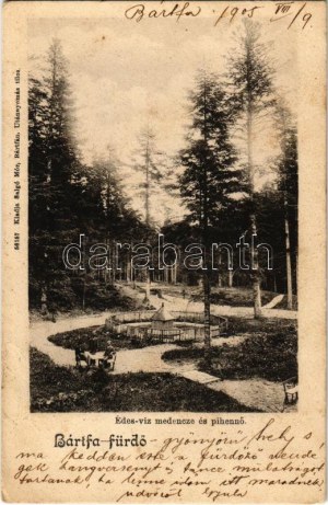 1905 Bártfa-fürdő, Bardejovské Kúpele, Bardiov, Bardejov; Édes-víz medence és pihenő. Salgó Mór kiadása / park uzdrowiskowy (EK...