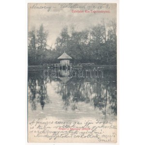 1910 Kistapolcsány, Topolcianky; Részlet a főhercegi kastély parkból. Brunczlik Imre kiadása / castle park (EK...