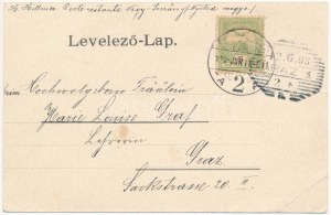 1903 Nagysurány, Velké Surany; Schwarcz Jakab kiadása (EB)