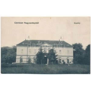 Nagysurány, Velké Surany; Berthold kastély / castello (ázott / danno umido)