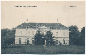 Nagysurány, Velké Surany; Berthold kastély / Burg (ázott / Nassschaden)