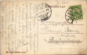 1910 Nyitra, Nitra ; Plébánia utca, Dániel József üzlete. Fürst L. kiadása / vue de la rue, magasin (EK...