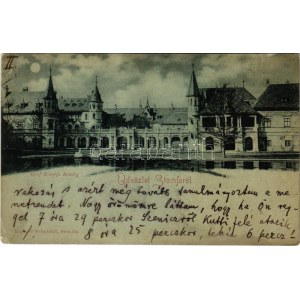 1899 (Vorläufer) Stomfa, Stampfen, Stupava; Gróf Károlyi kastély. Wetschl kiadása / Schloß / castello (EK...