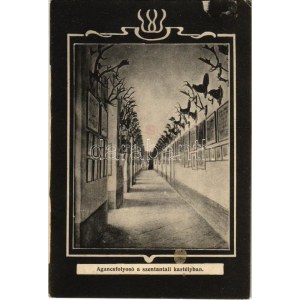1922 Szentantal, Svatý Anton, Sväty Anton; agancsfolyosó a szentantali kastélyban, belső. Joerges kiadása ...