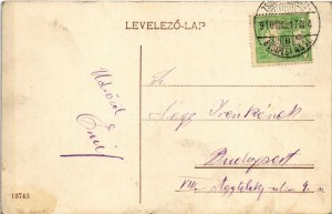 1910 Zsolna, Sillein, Zilina; Budatini hidak, Vág folyó / ponti, fiume Váh (fl) + 