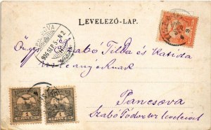 1906 Tiszaújlak, Vulok, Vilok, Vylok; M. kir. sóhivatal, Kincstári Tisza híd. Grün Henrik kiadása / ufficio miniere di sale...