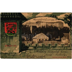 1905 Ungvár, Uzshorod, Uzhorod; vár. Feuerlicht testvérek kiadása. Szecessziós címeres litho montázs / castle...