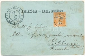 1901 Novi Vinodolski, Novi, Novoga; Hotel Lisanj i Slavulj, Kupaliste, Kula Frankopanska / hotely, kúpele, veža...