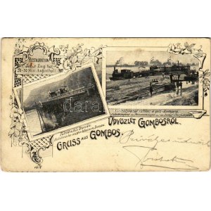 1901 Gombos, Bogojeva, Bogojevo; Vasúti fahíd a kis Dunán, személyvonat rátétele a gőzkompra, gőzmozdony, vonat ...
