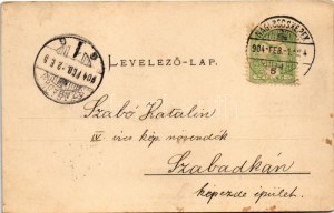 1904 Nagybecskerek, Zrenjanin, Veliki Beckerek; Kaszinó kert. Schenk H. kiadása / Casino garden (fl...