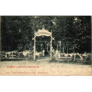 1905 Pancsova, Pancevo ; Kiállítás, cukrászda. Népkonyha kiadása / Exposition, confiserie (fl...