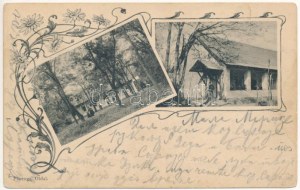 1911 Ruszanda-fürdő, Banja Rusanda (Melence, Melenci); fürdő. Fotogr. Oldal / lázně, koupel. Secese, květinová ...