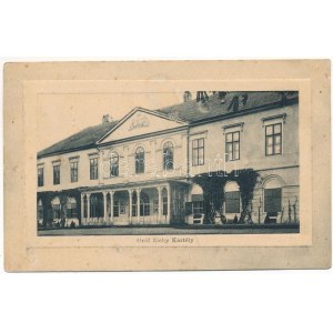 1917 Füles, Nikitsch; Gróf Zichy kastély / Burg / Schloss (fl)