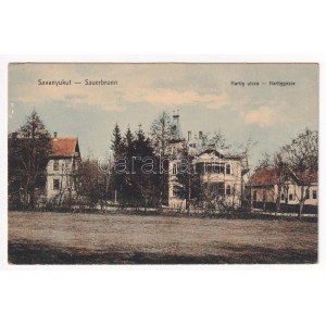 Savanyúkút, Sauerbrunn; Hartig utca, nyaralók. Hönigsberg Frigyes kiadása / Hartiggasse, Villen / street, villas (EK...