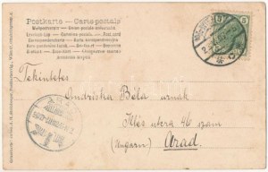 1907 Wiedeń, Bécs; Schönbrunn, Gloriette. Gruss aus Wien / Art Nouveau, kwiatowa rama z pniem drzewa (fl...