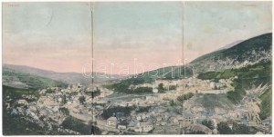 1910 Trávník, třídílná skládací panoramatická deska (r)