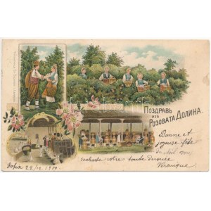 1900 Rozova dolina, Rosental; Rosenanbau und -ernte, Herstellung von Rosenöl (EB)